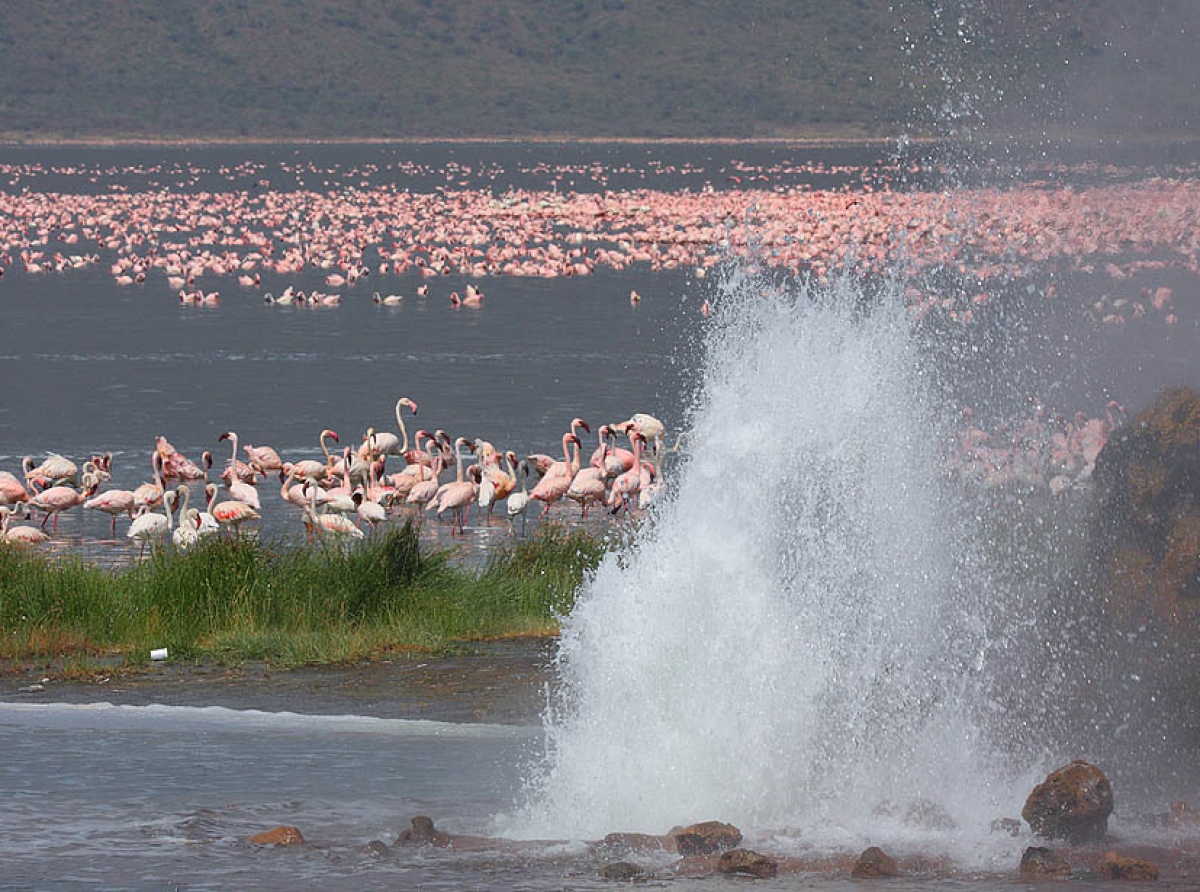 Unveiling Lake Bogoria's Hidden Treasures
